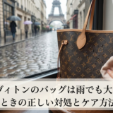 ルイ ヴィトンのバッグは雨でも大丈夫？濡れたときの正しい対処とケア方法を解説